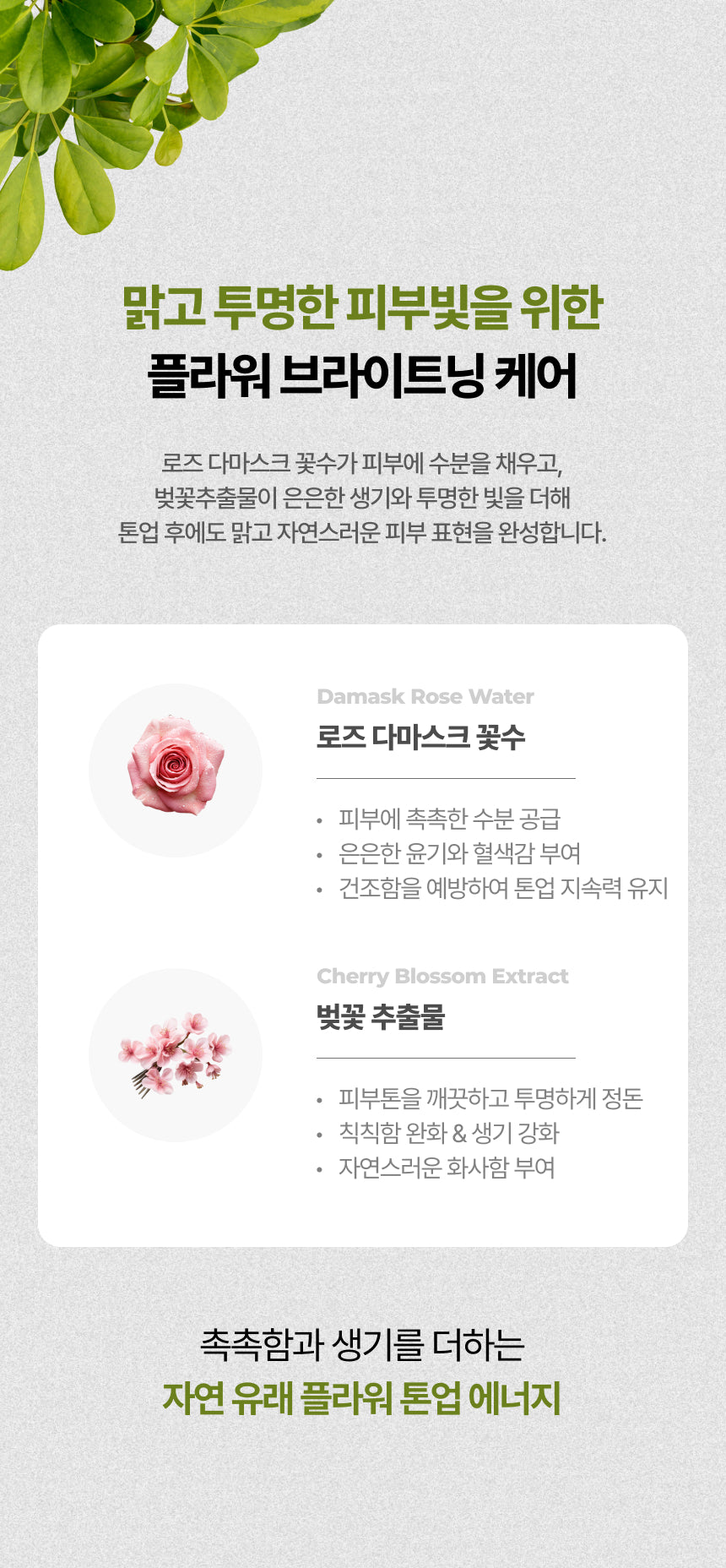 4D Tone Up Cream
